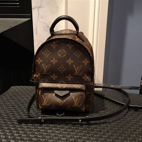 bags like louis vuitton palm springs|louis vuitton small backpack price.